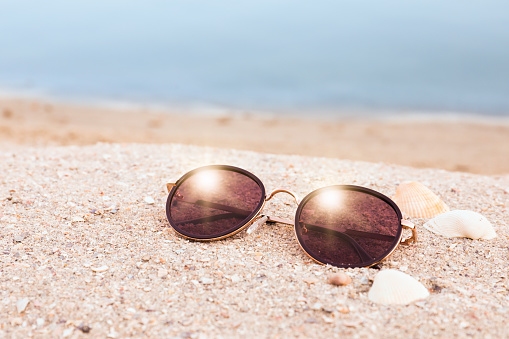 Stylish sunglasses and shells on sandy beach near sea