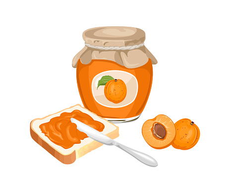 Apricot jam set. Spread on piece of toast bread, knife, glass jar with jelly and fresh fruit isolated on white background. Vector sweet food illustration in cartoon flat style.