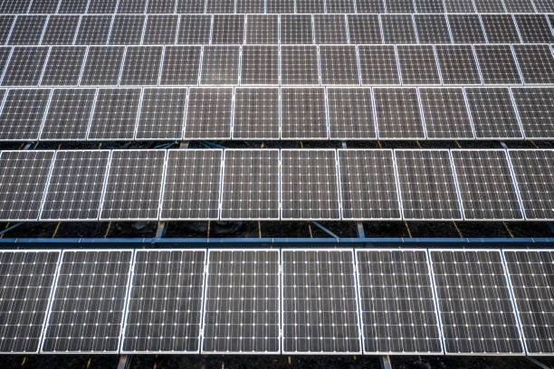 Aerial view of rows of solar panels