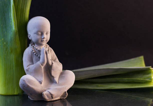 Meditating Buddha figure on black background and green leaves