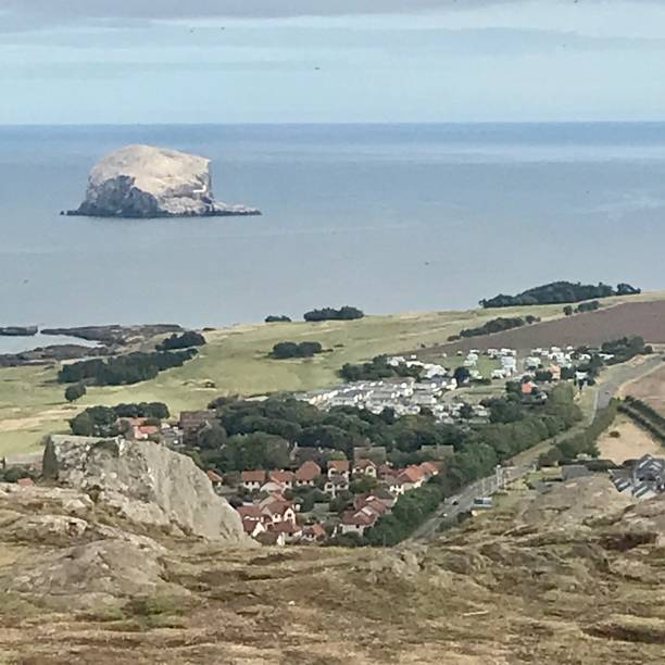 istock Bass Rock, Scotland 1361370345
