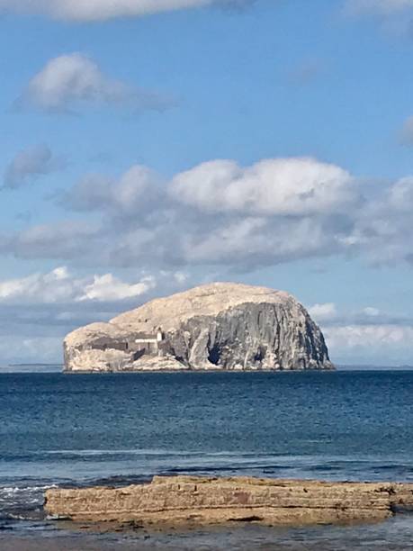 istock Bass Rock, Scotland 1361370609