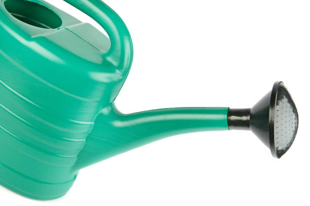 istock Green plastic watering can isolated on white . 1361371588