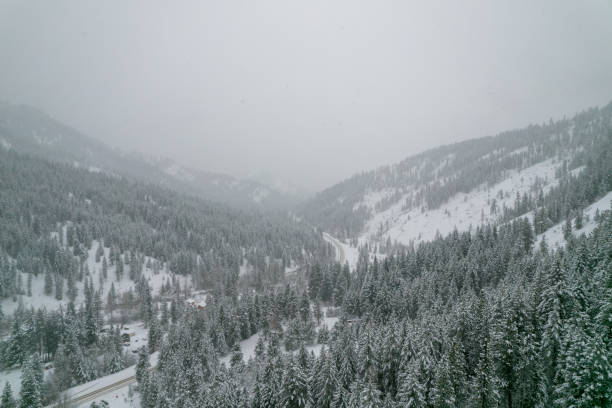 montagne innevate a cascata - tree leavenworth snow sky foto e immagini stock