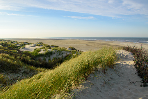 Sand dune with marram grass under a blue sky with clouds in summer. Langeoog, East Frisian Islands, Lower Saxony, Germany