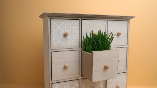 istock Green grass in a wooden box. 1361375675