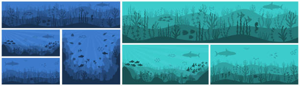 ilustrações de stock, clip art, desenhos animados e ícones de underwater background life at sea or ocean bottom. - bottom sea