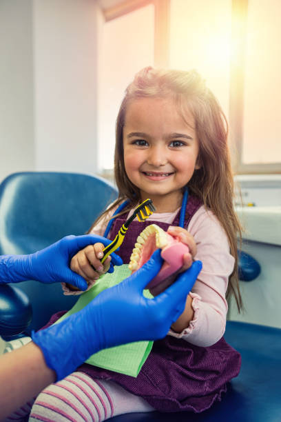 girl in the dentist's office learns to take care of her own teeth on a mock-up of jaw teeth. girl in the dentist's office learns to take care of her own teeth on a mock-up of jaw teeth. Teeth jaw mockup concept dental drill stock pictures, royalty-free photos & images