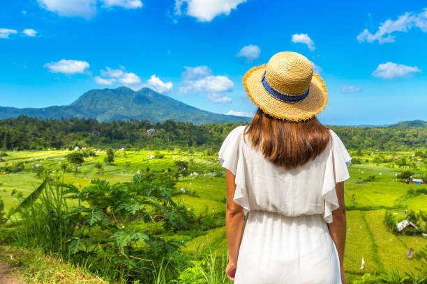 istock Rice terrace field on Bali 1361396586