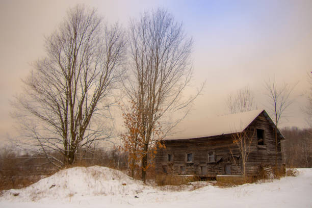 paisaje rural con granero en el invierno canadiense - cattle cow hill quebec fotografías e imágenes de stock