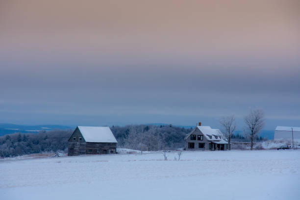 paisaje rural con granja en el invierno canadiense - cattle cow hill quebec fotografías e imágenes de stock