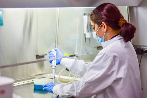 Woman researcher working in a bio safety cabinet A female adult scientist working in a molecular biology lab iranian ethnicity stock pictures, royalty-free photos & images