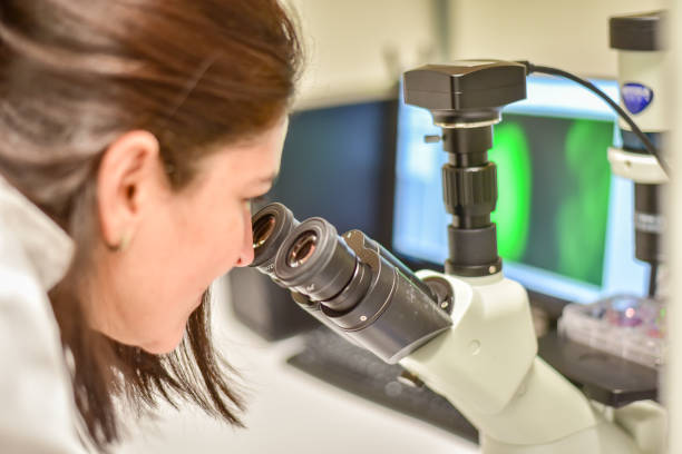 Researcher examining cells under microscope Woman researcher checking cells under microscope attached with a monitor display genetic screening stock pictures, royalty-free photos & images