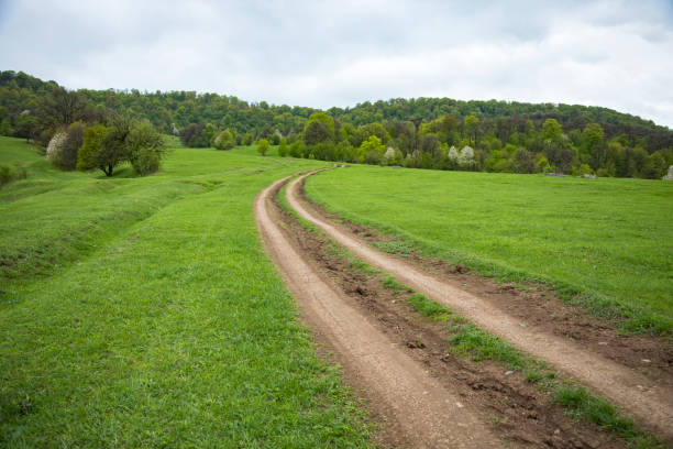 a dirt road through the fields goes into the forest during the day