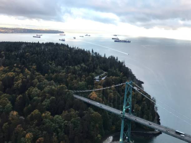 istock Flight from Vancouver to Nanaimo 1361403457