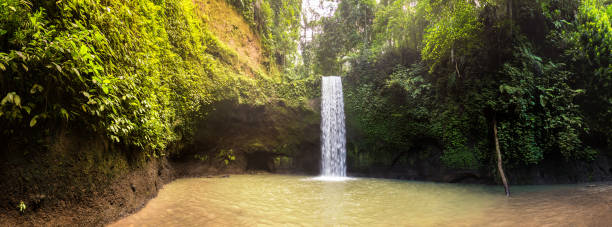 istock Tibumana waterfall in Bali 1361404357