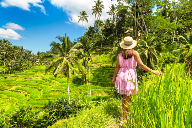 istock Tegallalang rice terrace on Bali 1361410508