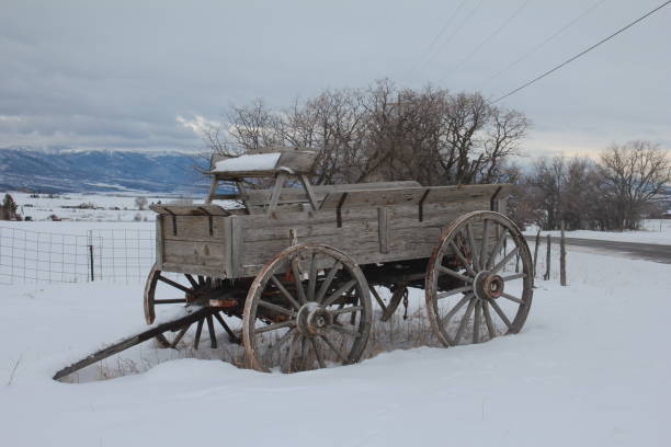 Beautiful chariots from the past in a snow