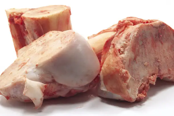 bovine bones with marrow