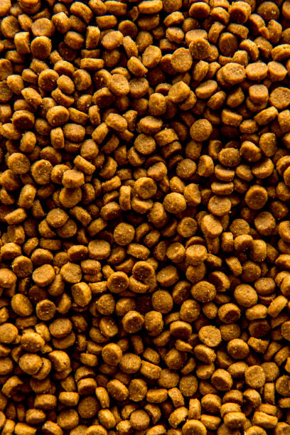 istock Dry Cat Food Texture Background, Top view. 1361420116