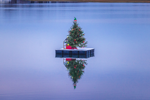 A Christmas tree stands on a dock on the water. Narragansett, Rhode Island