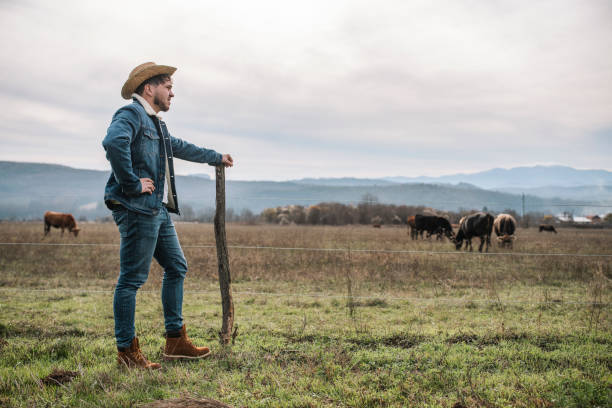 istock Proud Young Farmer Looking At His Herd And Property 1361423707
