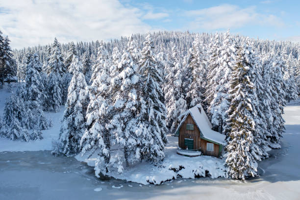 drewniana chata w śnieżnym zimowym lesie - hut cabin isolated wood zdjęcia i obrazy z banku zdjęć