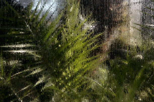istock Misted glass with dripping drops. Global warming in jungle 1361433764