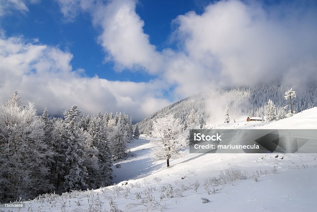 Paisagem de Inverno na Carpathians - Royalty-free Abeto Foto de stock