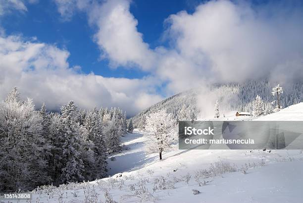 Paisagem De Inverno Na Carpathians - Fotografias de stock e mais imagens de Abeto - Abeto, Alpes Europeus, Ao Ar Livre