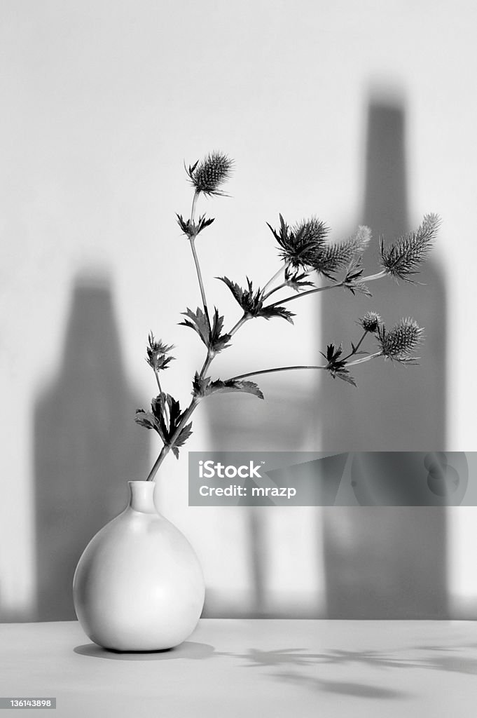 libro de bolsillo Avanzado becerro Naturaleza Muerta Con Sombras Foto de stock y más banco de imágenes de Cardo - Cardo, Jarrón, Blanco y negro - iStock libro de bolsillo Avanzado becerro Naturaleza Muerta Con Sombras Foto de stock y más banco de imágenes de Cardo - Cardo, Jarrón, Blanco y negro - iStock