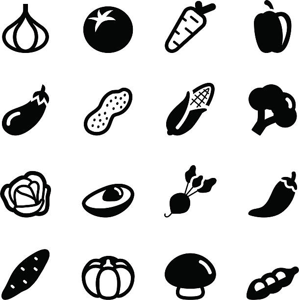 ilustraciones, imágenes clip art, dibujos animados e iconos de stock de iconos de vegetales - bean avocado radish nut