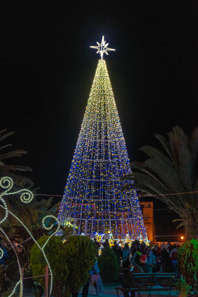 istock Christmas tree in lights located in nombsa 1361442637
