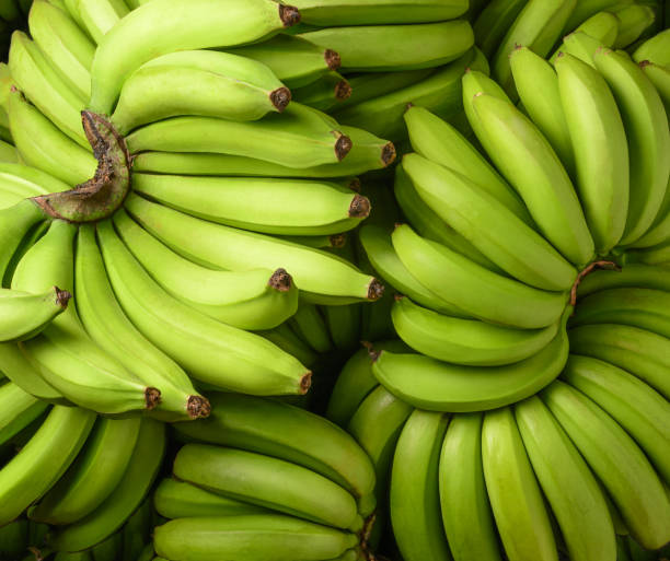 istock fresh unripe banana, fruit background, closeup 1361445632