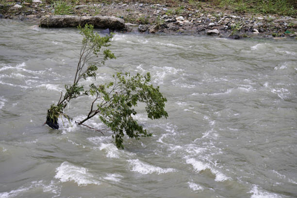istock muddy stream of a flooding river 1361457897