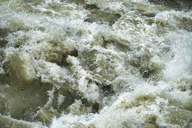 muddy stream of a flooding river