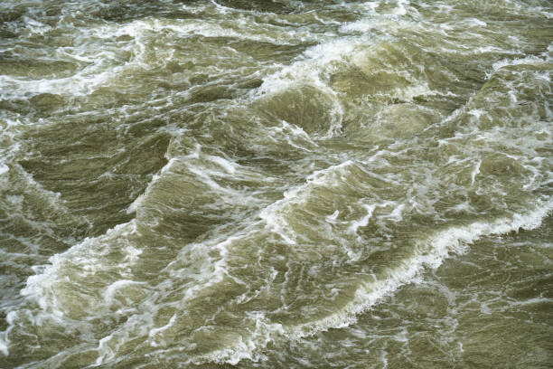 istock muddy stream of a flooding river 1361457908