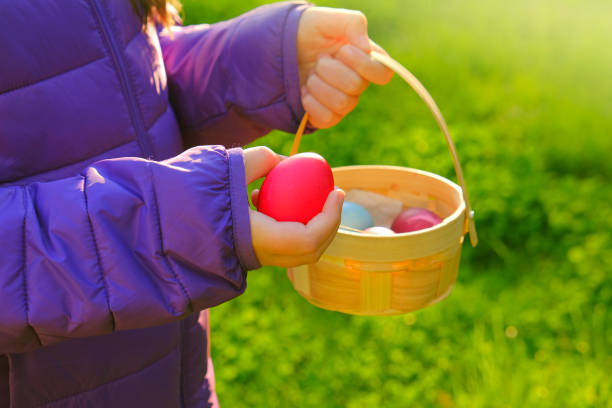 Easter Egg Hunt. Collecting Easter eggs.Child puts eggs in a basket in the garden.Colorful easter eggs. Easter holiday tradition.Spring religious holiday
