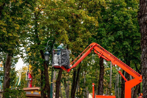 A utility worker on an aerial platform repairs a street lamp in the autumn Gorky Park in Kharkiv, Ukraine stock photo