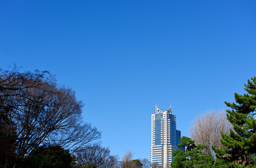 Modern corporate high-rise buildings with  forest against clear sky with copy space.