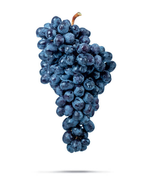 gęsta kiść ciemnoniebieskich winogron w kroplach wody, izolowana na białym tle. plik zawiera ścieżkę do izolacji. - dark blue grapes zdjęcia i obrazy z banku zdjęć