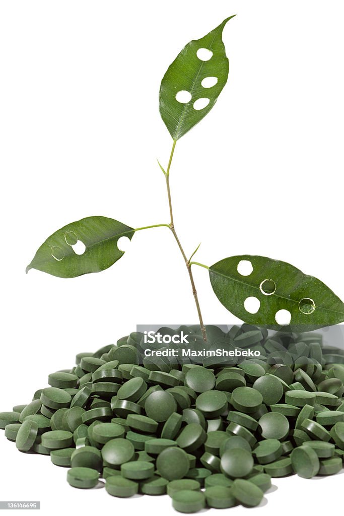 spirulina tablet e Pianta verde - Foto stock royalty-free di Alimentazione sana