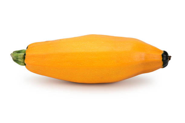 An orange squash with a dark green end on one side and a clipped pod on the other. Isolated on a white background.