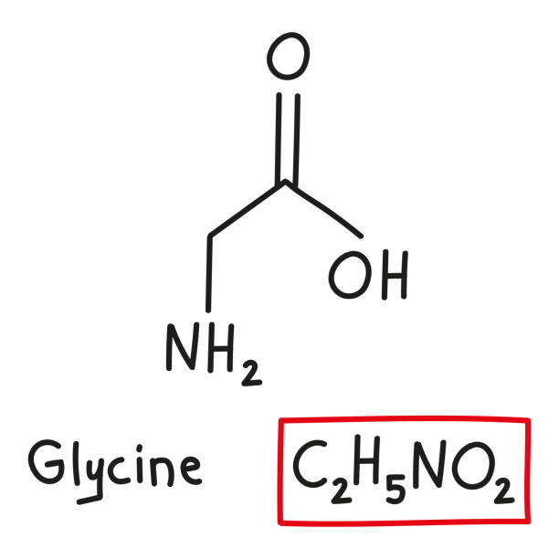 handgezeichnete chemische summenformel der aminosäure glycin im doodle-stil isoliert - oxygen amino acid periodic table carbon stock-grafiken, -clipart, -cartoons und -symbole