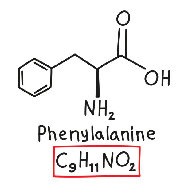 handgezeichnete chemische summenformel der aminosäure phenylalanin im doodle-stil isoliert - oxygen amino acid periodic table carbon stock-grafiken, -clipart, -cartoons und -symbole