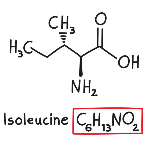 handgezeichnete chemische summenformel der aminosäure isoleucin im doodle-stil isoliert - oxygen amino acid periodic table carbon stock-grafiken, -clipart, -cartoons und -symbole