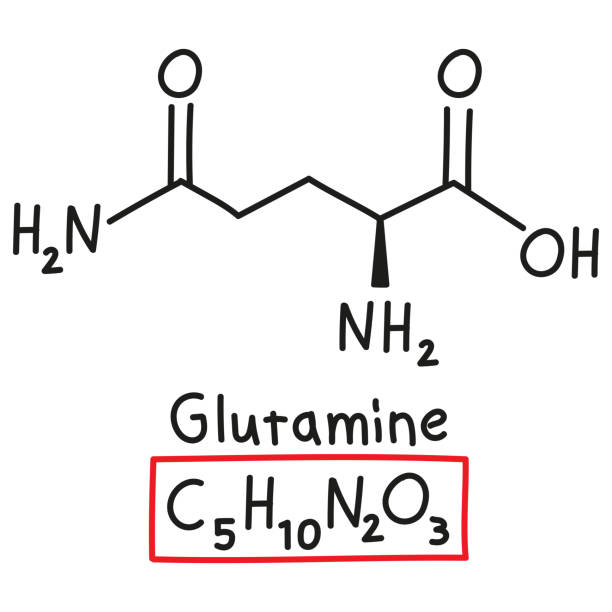 handgezeichnete chemische summenformel der aminosäure glutamin im doodle-stil isoliert - oxygen amino acid periodic table carbon stock-grafiken, -clipart, -cartoons und -symbole