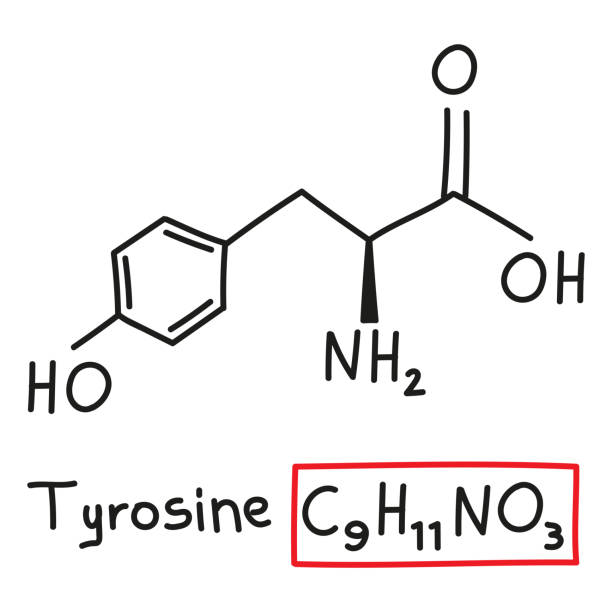 illustrazioni stock, clip art, cartoni animati e icone di tendenza di formula molecolare chimica disegnata a mano dell'aminoacido tirosina in stile doodle isolato - oxygen amino acid periodic table carbon