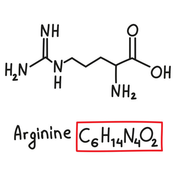 handgezeichnete chemische summenformel der aminosäure arginin im doodle-stil isoliert - oxygen amino acid periodic table carbon stock-grafiken, -clipart, -cartoons und -symbole