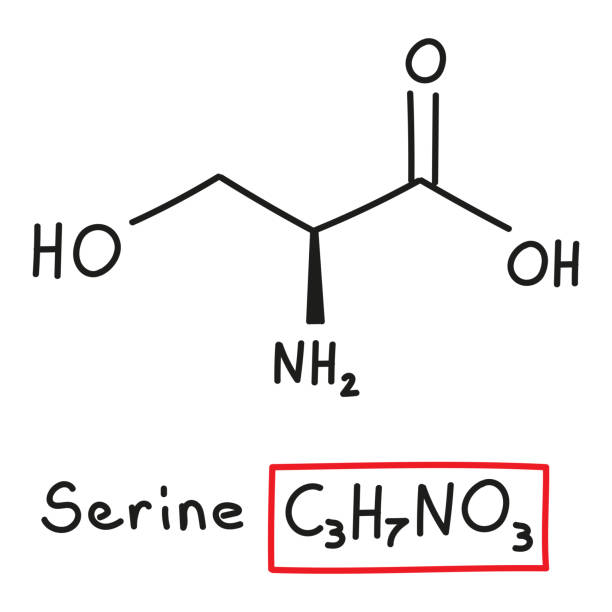 handgezeichnete chemische summenformel der aminosäure serin im doodle-stil isoliert - oxygen amino acid periodic table carbon stock-grafiken, -clipart, -cartoons und -symbole